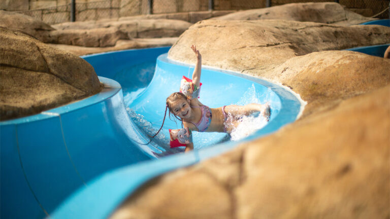 287352_Lalandia_aquadome